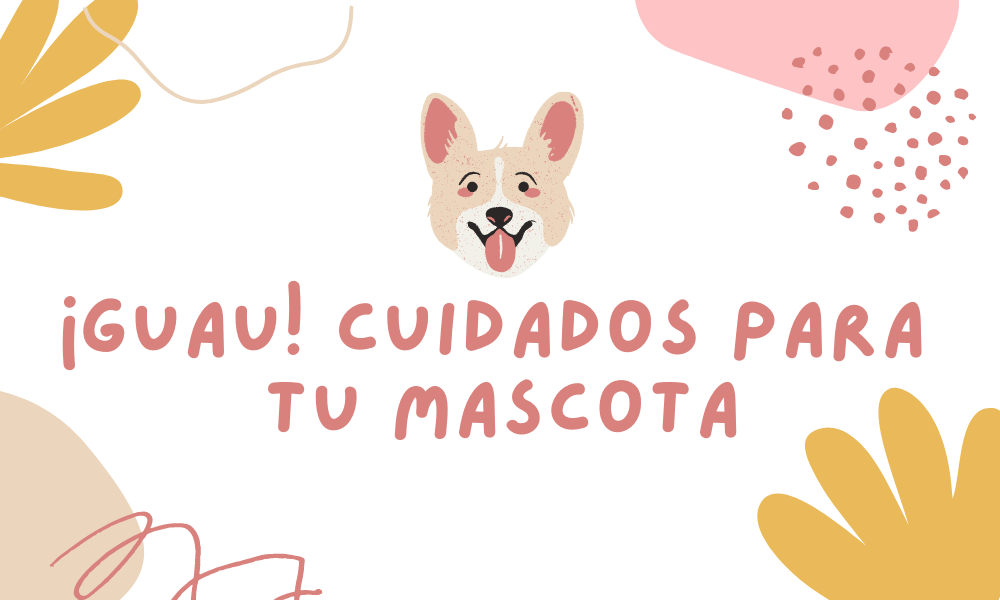 Consejos para tu perro amigo