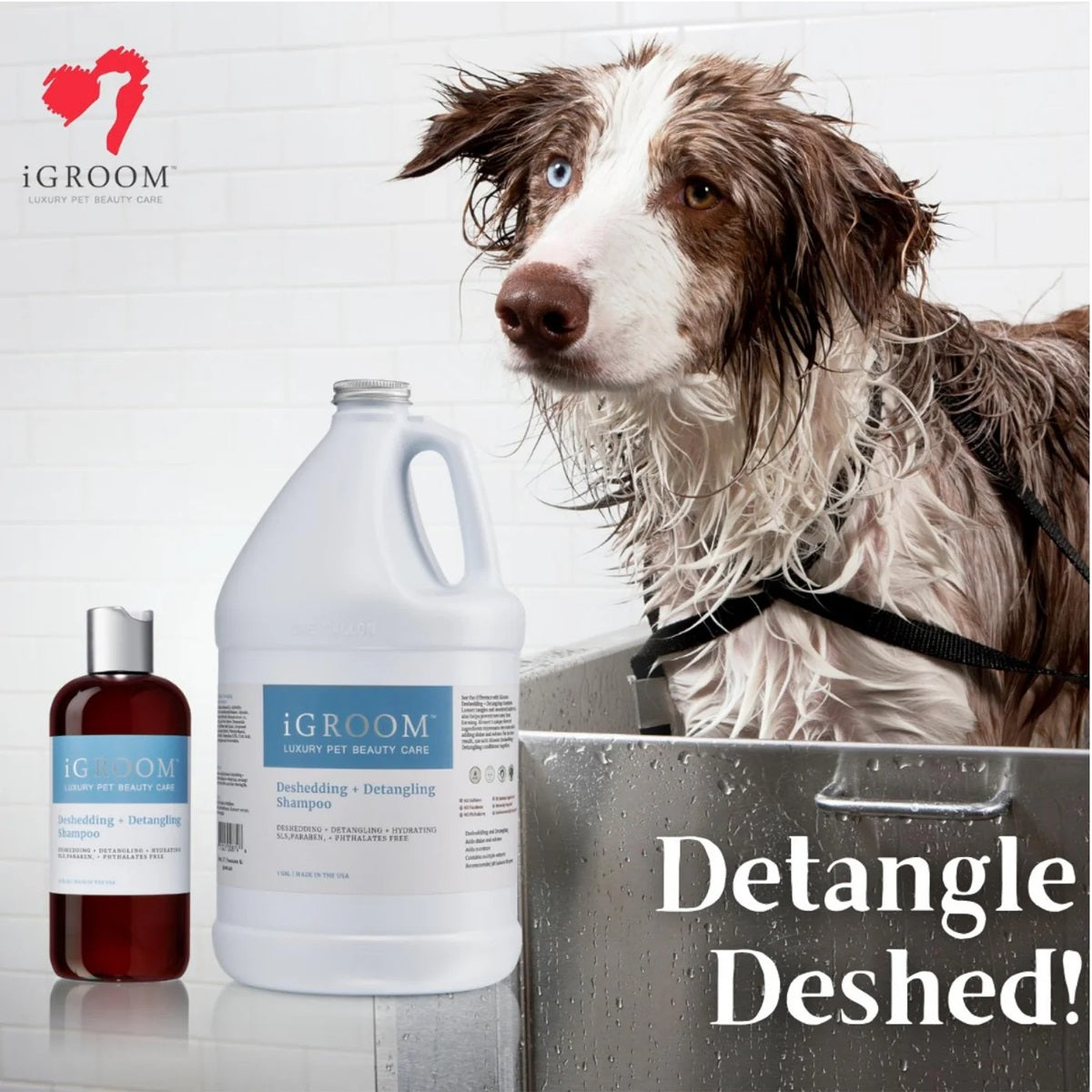 Shampoo Desenredante Mascotas Igroom