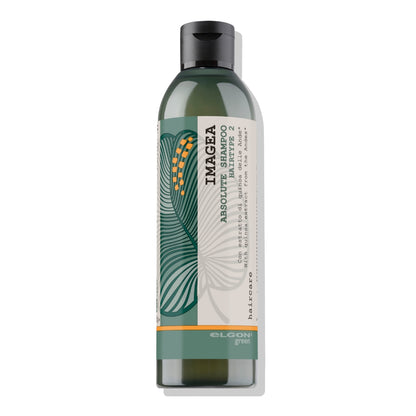 Shampoo Absolute Cabello Tinturado Imagea