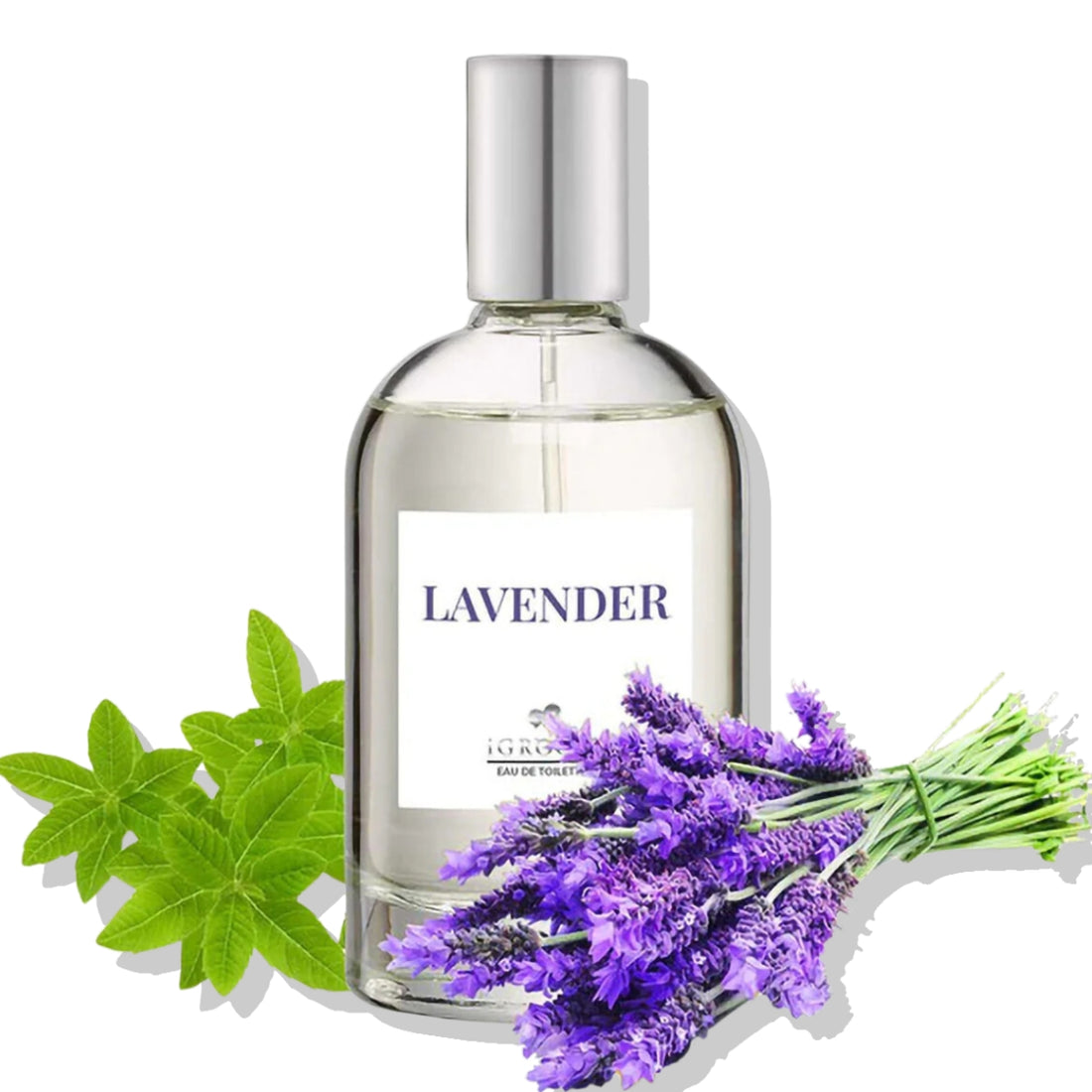 Perfume Mascotas Lavanda 100ml Igroom